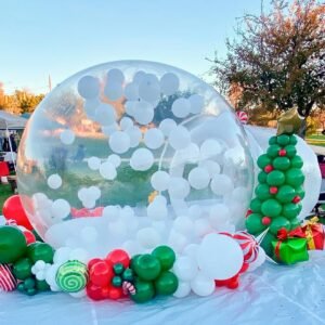 Inflatable Bouncers，Bubble House for Kids and Adults 10FT Commercial Grade.jpg