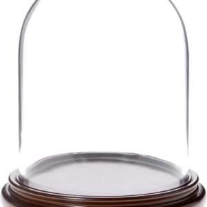 Plymor 8 x 1025 Glass Display Dome Cloche Walnut Wood.jpg
