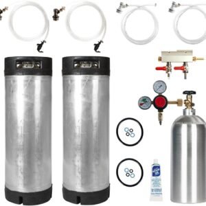 Dual Keg Kit Reconditioned 5 Gallon Ball Lock Kegs.jpg