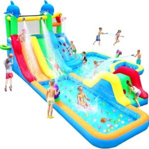 Large Inflatable Water Slide Bounce House 20Ftx14Ft Dolphin Styling Double.jpg