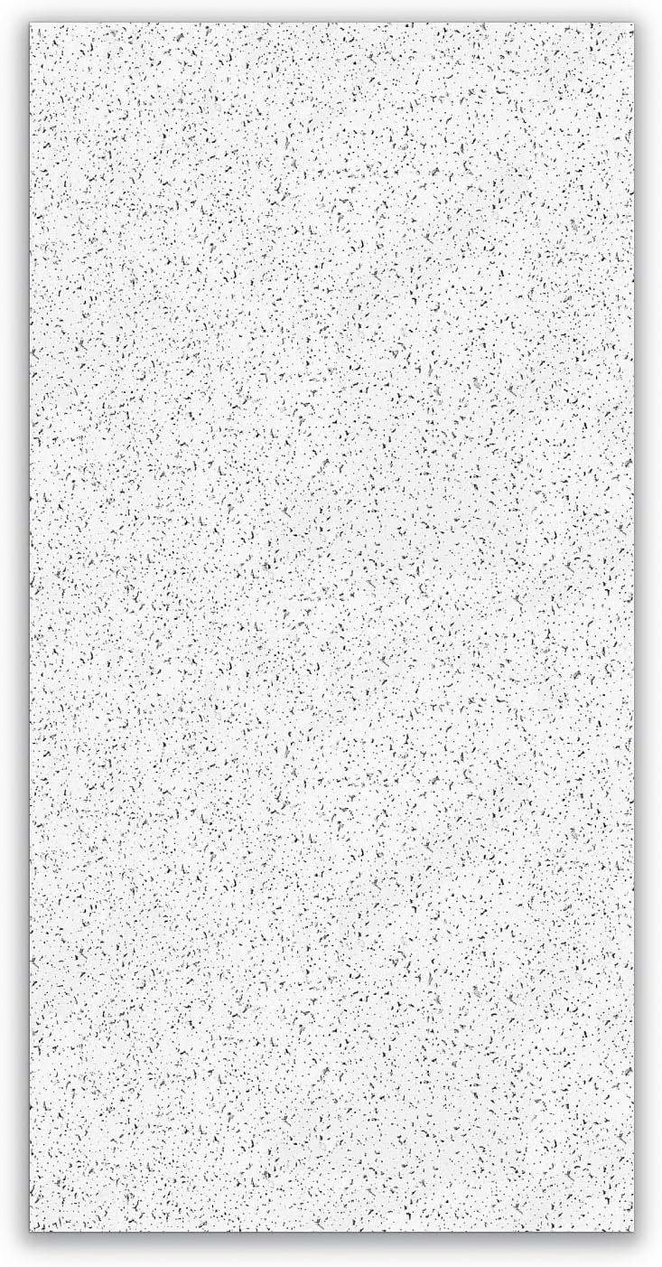CORTEGA 769 Acoustic Ceiling Tiles 2x4 12 White Tiles.jpg